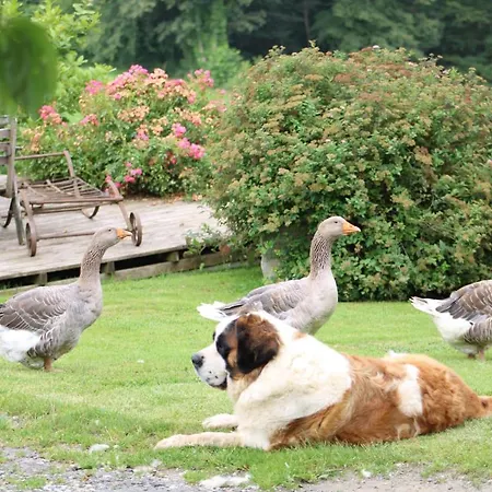 Prázdninový dům Mourtis Nistos